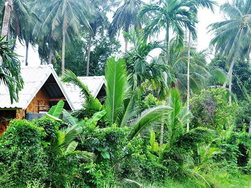 Hinkong Jungle Garden Bungalows מראה חיצוני תמונה
